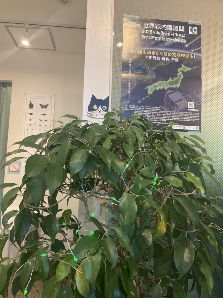 目光針院 メピカバリ