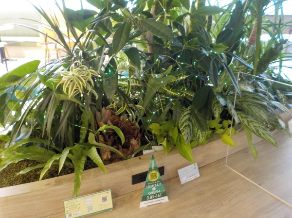 医療法人財団明理会　IMS Me-Life クリニック 仙台