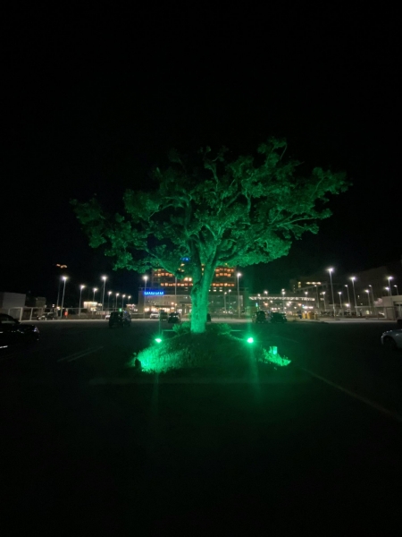 徳島県立中央病院