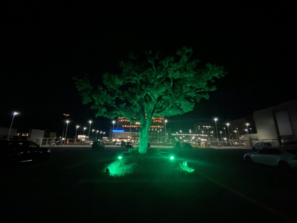 徳島県立中央病院