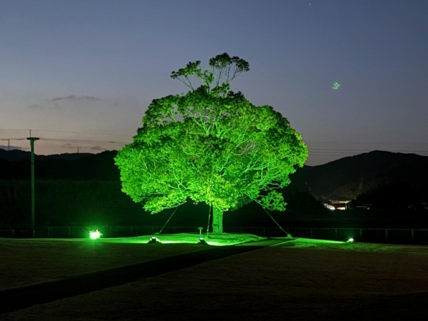 千寿製薬株式会社 唐津工場