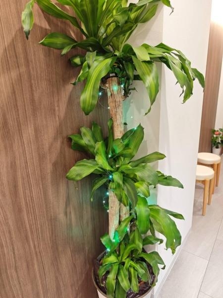 おかやま腎泌尿器科クリニック