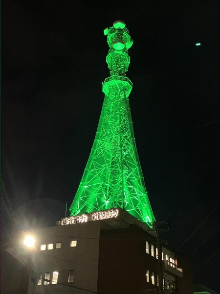 東北電力ネットワーク岩手支社マイクロ波無線鉄塔