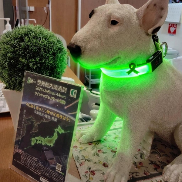 医療法人碧樹会山林眼科