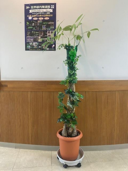 小豆嶋眼科クリニック