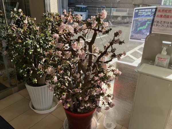 医療法人たかはし内科・眼科クリニック